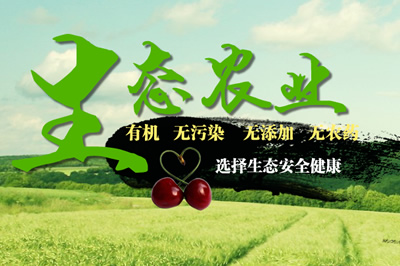 鑫東生態(tài)農(nóng)業(yè)